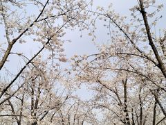 -龙美术馆(西岸馆)