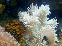 -多彩贵州城极地海洋世界