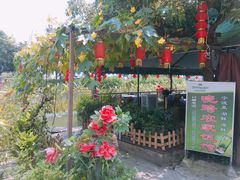 -晓琦农家菜馆·地道农家菜