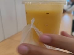 -一只酸奶牛(百联南岸上海城店)