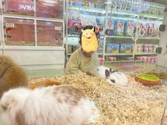 -万达广场(大明宫店)