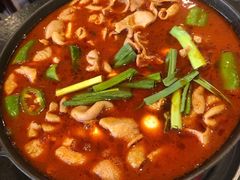 湘味肥肠火锅-湘肠香火锅店(团结湖店)