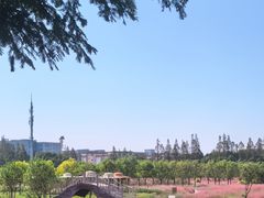 -嘉北郊野公园