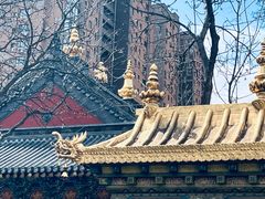 -护国法轮寺
