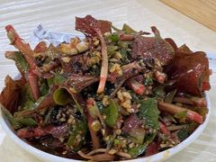 -东吴霸王兔(松青路店)