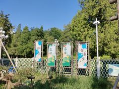 -天津大学爱尔眼科医院(天津院区)