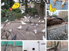 -和平公园