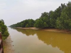 -崖口红树林海鲜餐厅