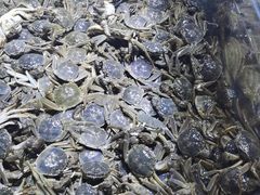 -聚盛源蒸汽海鲜火锅烤肉自助(巨川金海岸购物广场店)