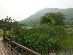 -八卦田遗址公园