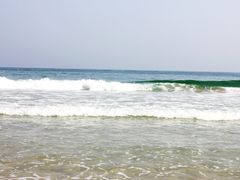 -西涌国际滨海旅游区