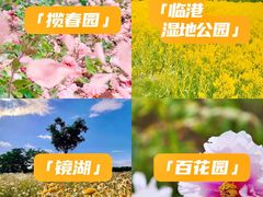 -睦南公园