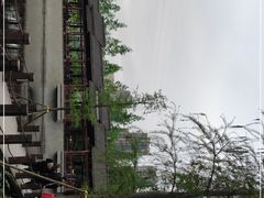 -重庆彩云湖湿地公园