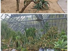 -深圳市中科院仙湖植物园