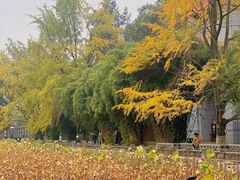 -四川大学(华西校区)