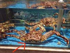 水产区-宏达宴老菜馆(群力第四大道店)