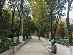 -莲湖公园