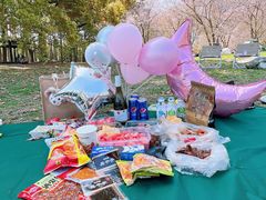 -上海共青森林公园