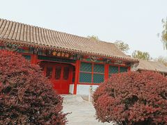 -元大都城垣遗址公园