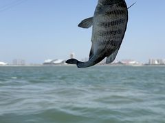 -鑫艋游艇海钓俱乐部