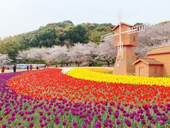 -苏州上方山国家森林公园