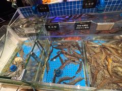 -加餐海鲜自助(宝龙一城店)