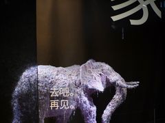 -成都许燎源现代设计艺术博物馆