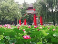 -四川大学(望江校区)