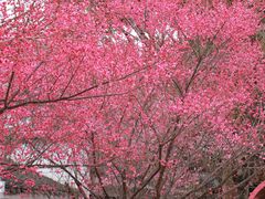 -东林广场(地铁站)