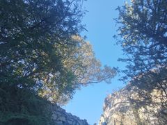 -鹫峰国家森林公园