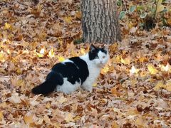 -北京邮电会议中心