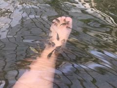 -龙达温泉生态城
