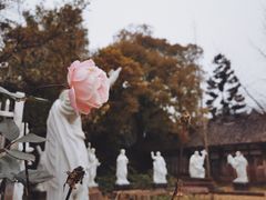 -舒家湾天主教堂
