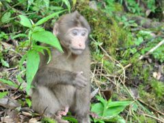 -西岭雪山大飞水景区