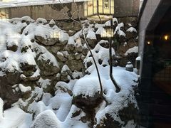 -蟹料理 北海道かに将軍(札幌本店)