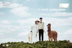 -薇光映画摄影美学馆