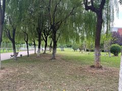 -汉江湾体育公园