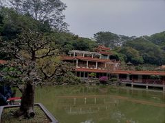 -深圳仙湖植物园