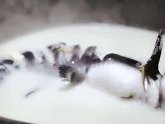 -滇小鱼·云南野生菌火锅(上杭路店)