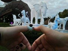 -清迈夜间动物园