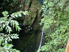 -鹿院坪生态旅游景区