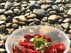 -丹水桥地锅鱼·翘嘴鲌·地方特色全鱼宴(丹江口大坝店)