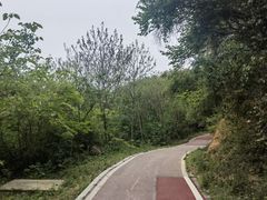 -敬亭山风景名胜区