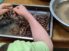 -乐山第一家临江鳝丝(茶坊路店)