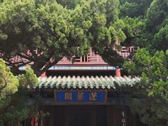 -蓬莱阁景区