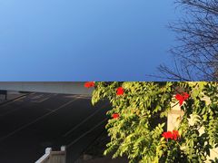 -荔香公园