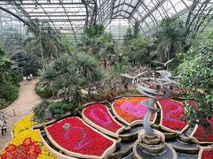 -南山植物园