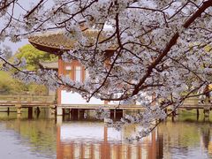 -西湖外事游船(花港观鱼码头)