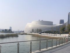 -金沙湖公园