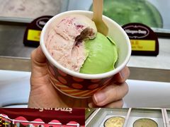 哈根达斯-顺德美的万豪酒店·自助餐·贡厨